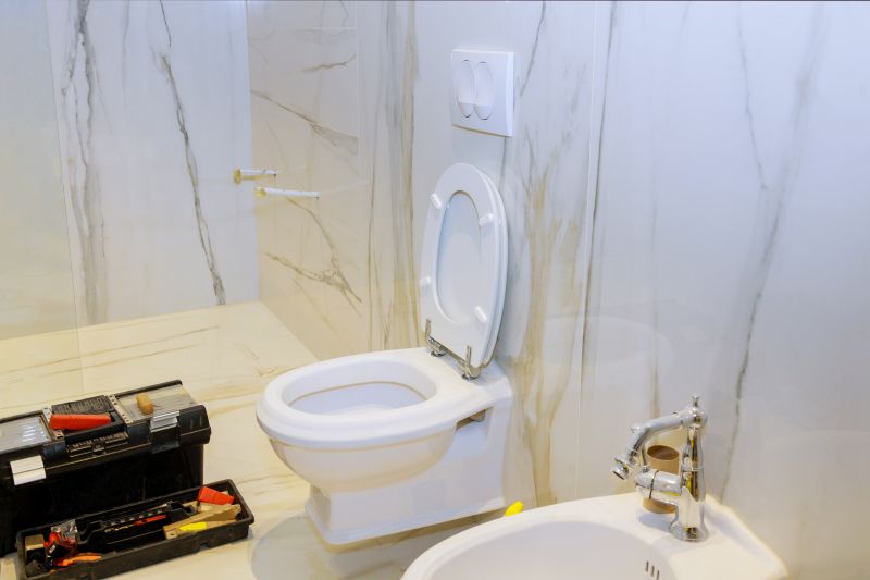 Toilet Installation Service detail